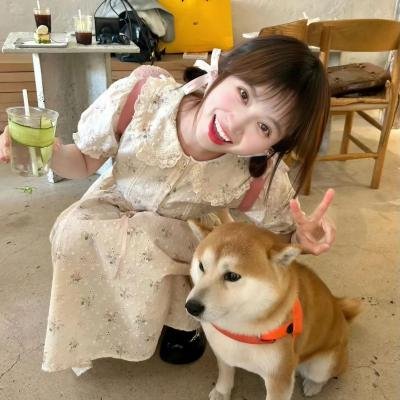 福斯特的释放